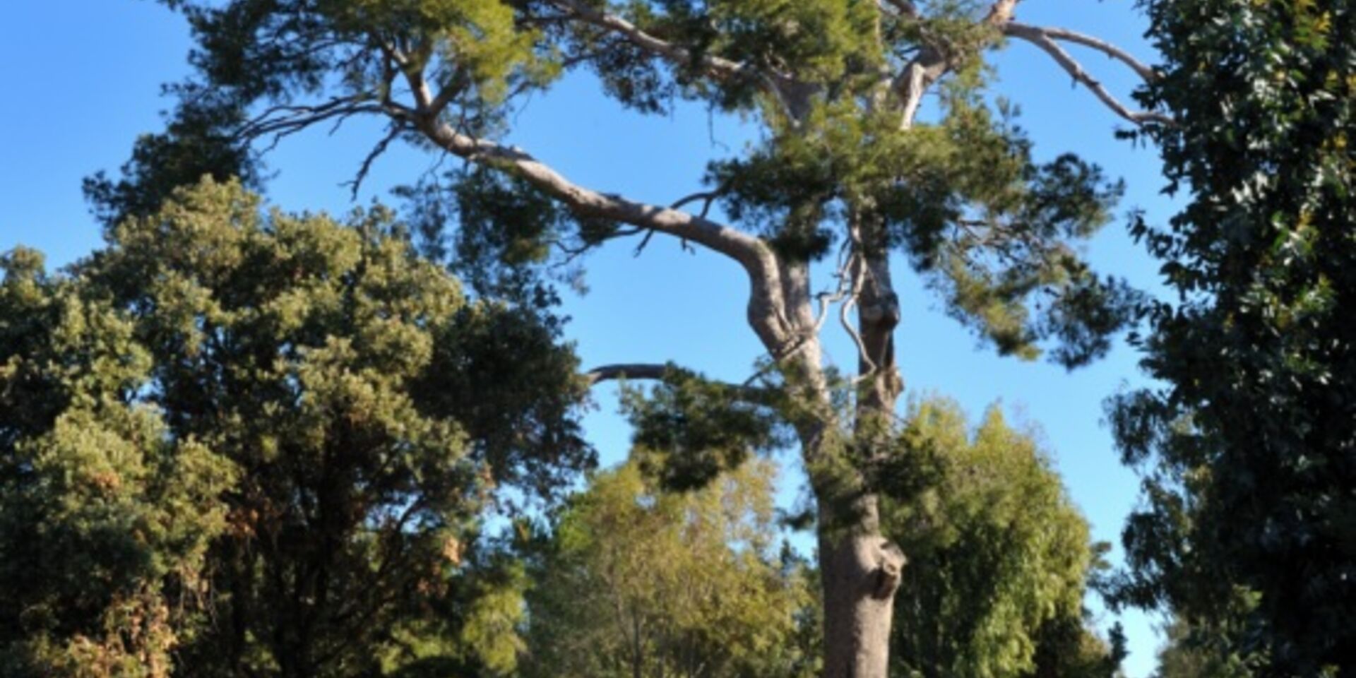 Naturnahe Ferien auf einem Camingplatz - Südfrankreich