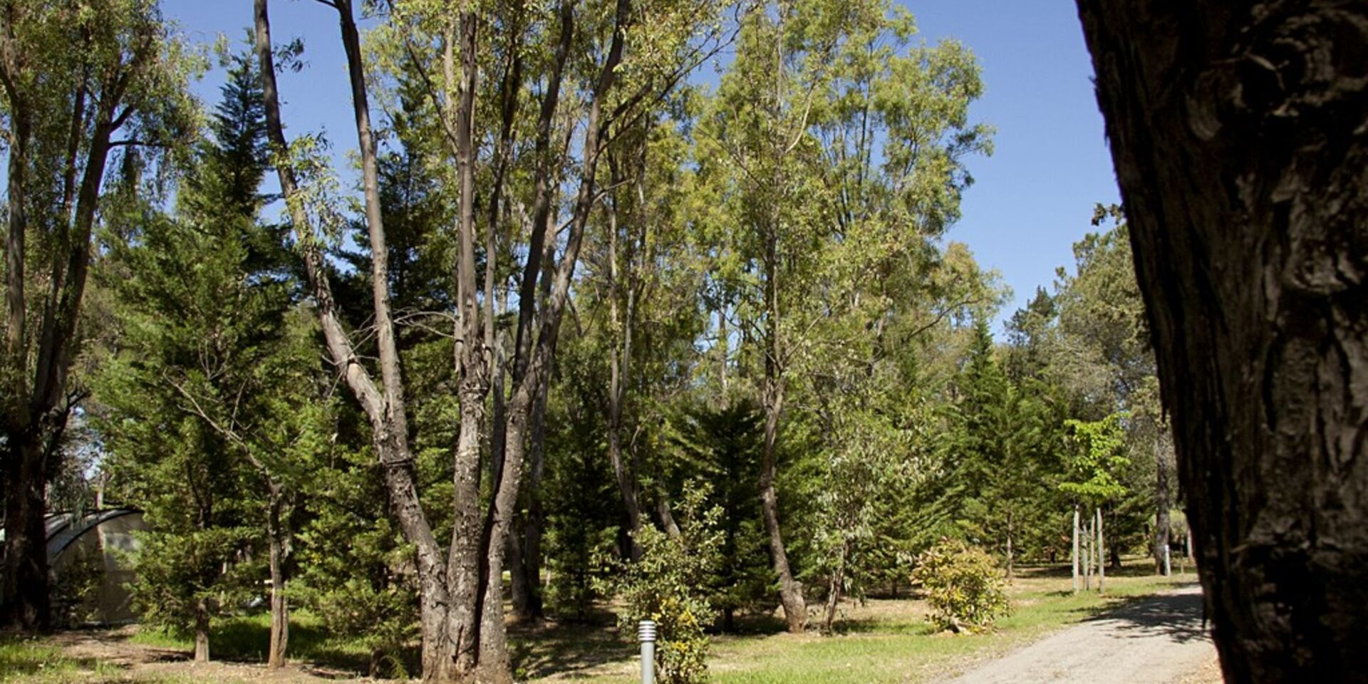 Natur bei Hyères – Strände – umweltfreundlicher und ökologisch sinnvoll geführter Campingplatz