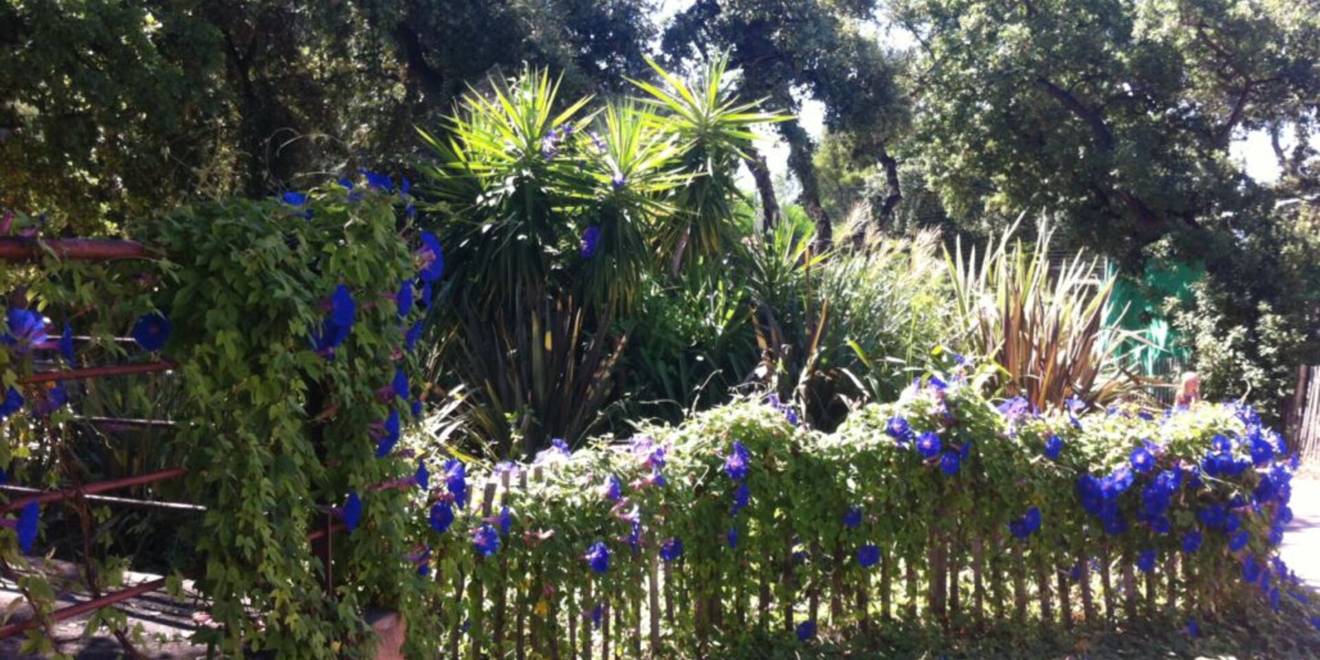 Provence - naturnaher, umweltfreundlicher und schattiger Campingplatz mit vielen Bäumen