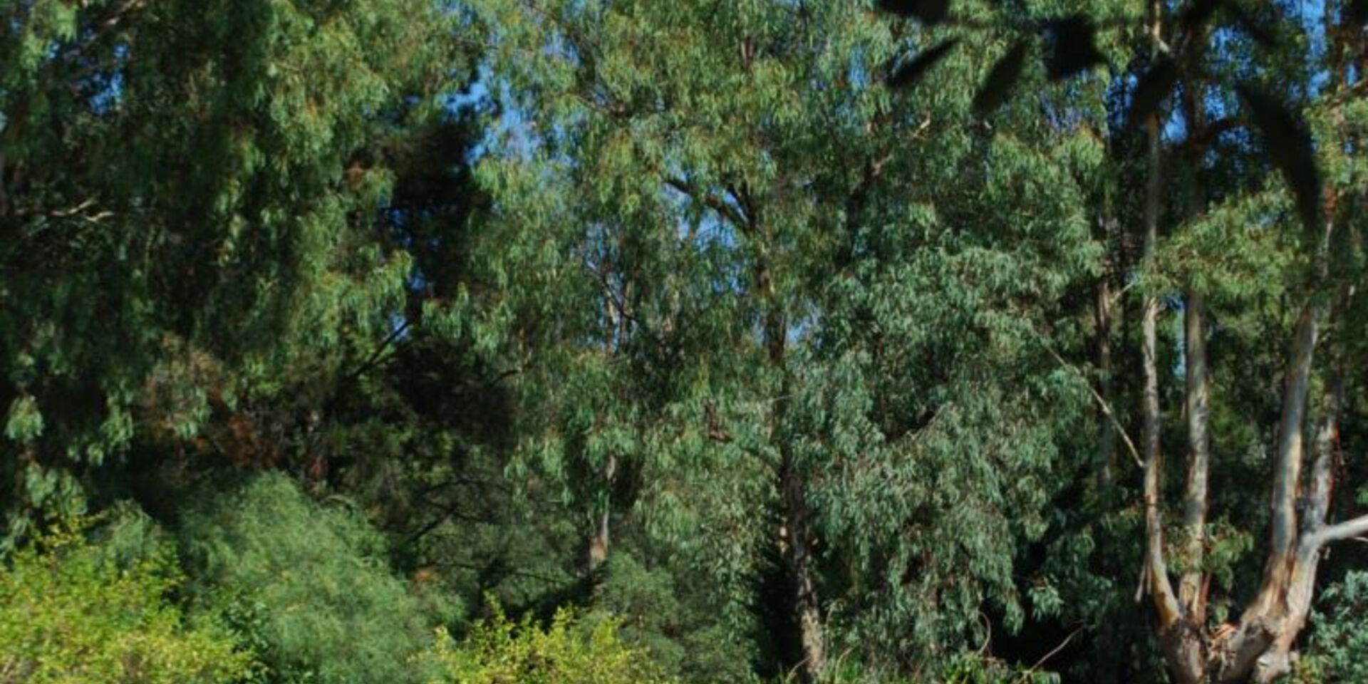 Campingplatz in Hyères – Natur und Ökologie, Schatten und Ruhe