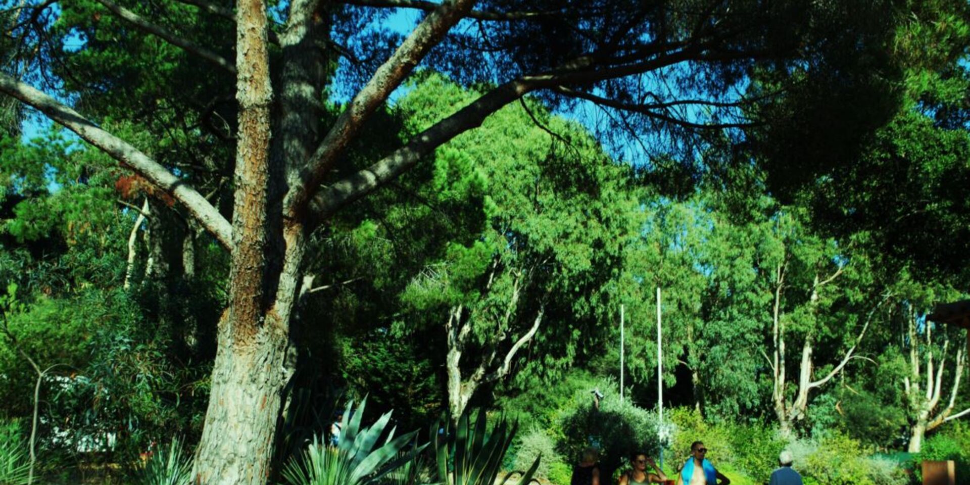 Ferien auf einem naturnahen und schattigen Campingplatz