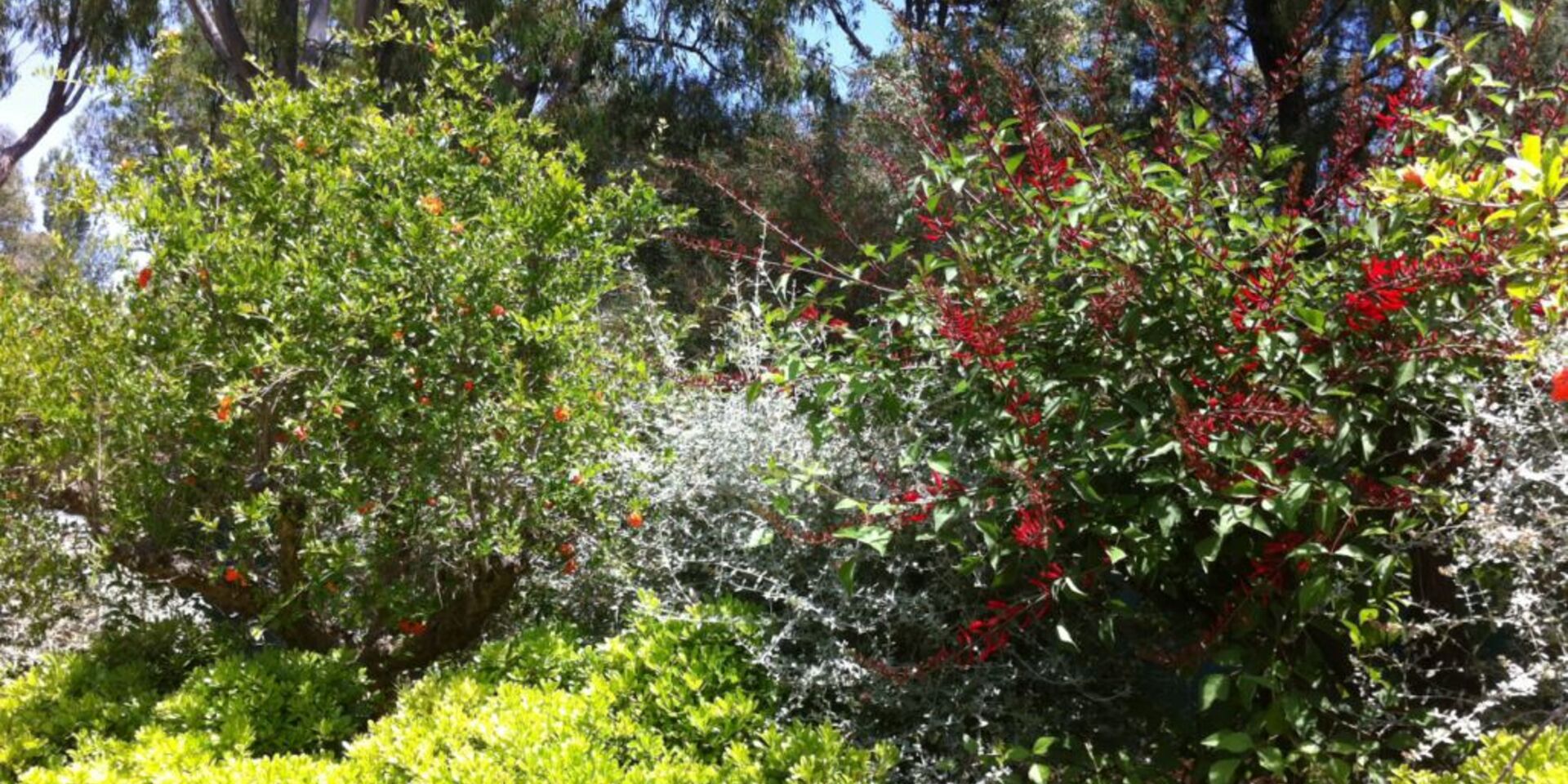 Ökologisch sinnvolle Ferien auf einem umweltfreundlichen Campingplatz - botanischer Lehrpfad