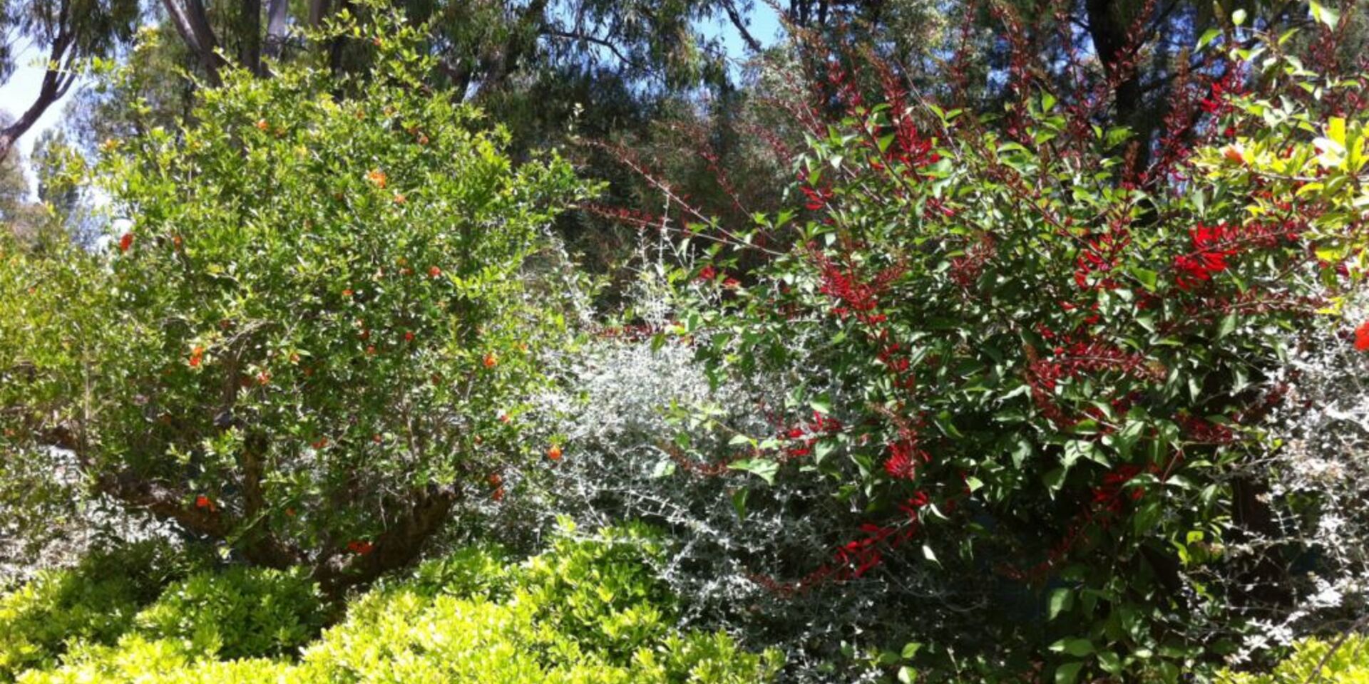 Naturnahe Ferien mit schöner Pflanzenwelt – Ökologie