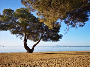 Camping Les Jardins de la Pascalinette ®