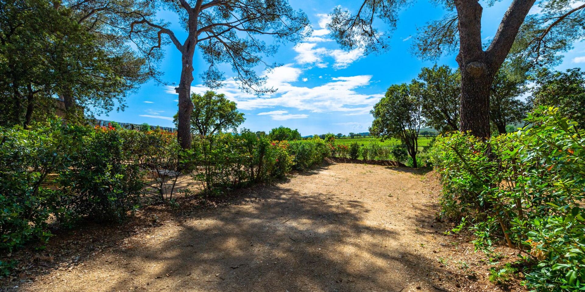 Mietobjekt: Stellplatz für ein grosses Zelt auf unserem schattigen Campingplatz bei Hyères