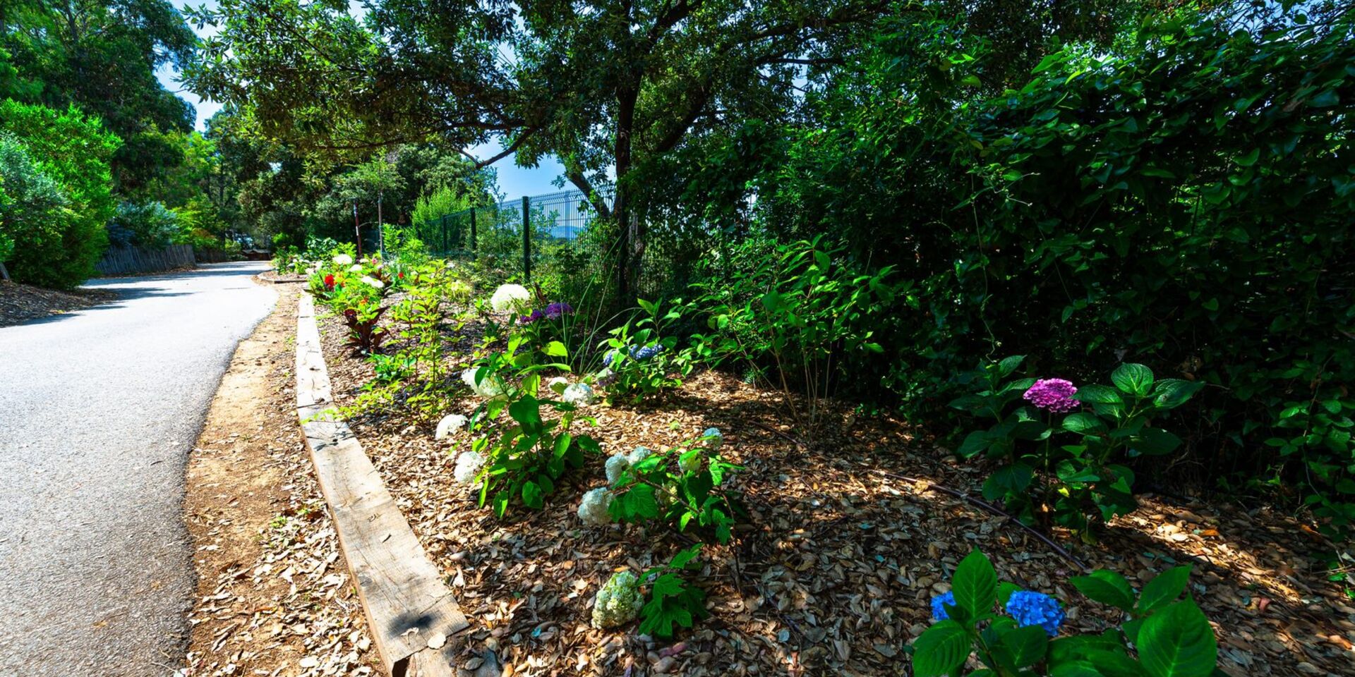 Unser naturnaher Campingplatz an der Côte d’Azur