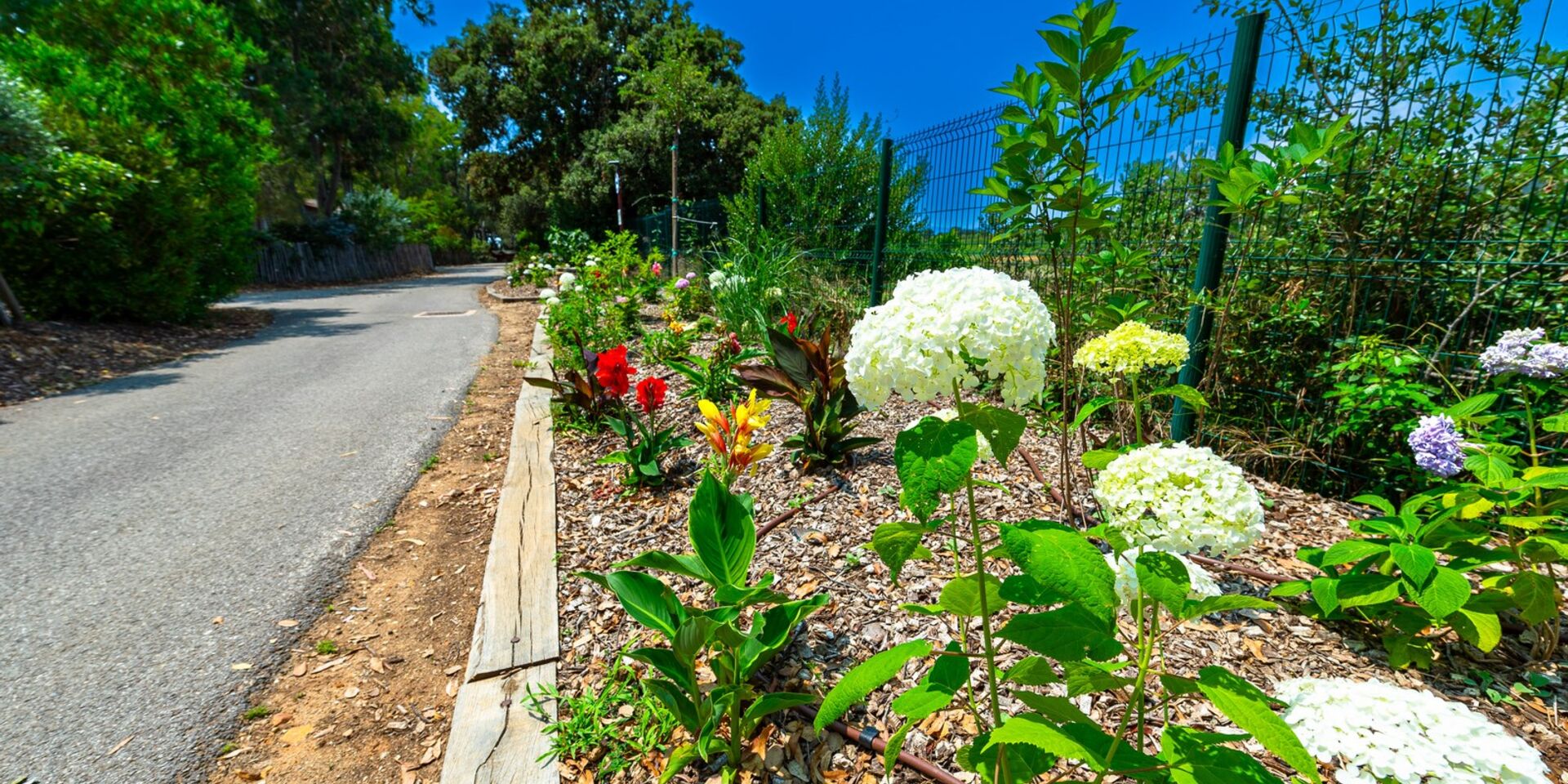 Unser naturnaher und umweltbewusster Campingplatz an der Côte d’Azur