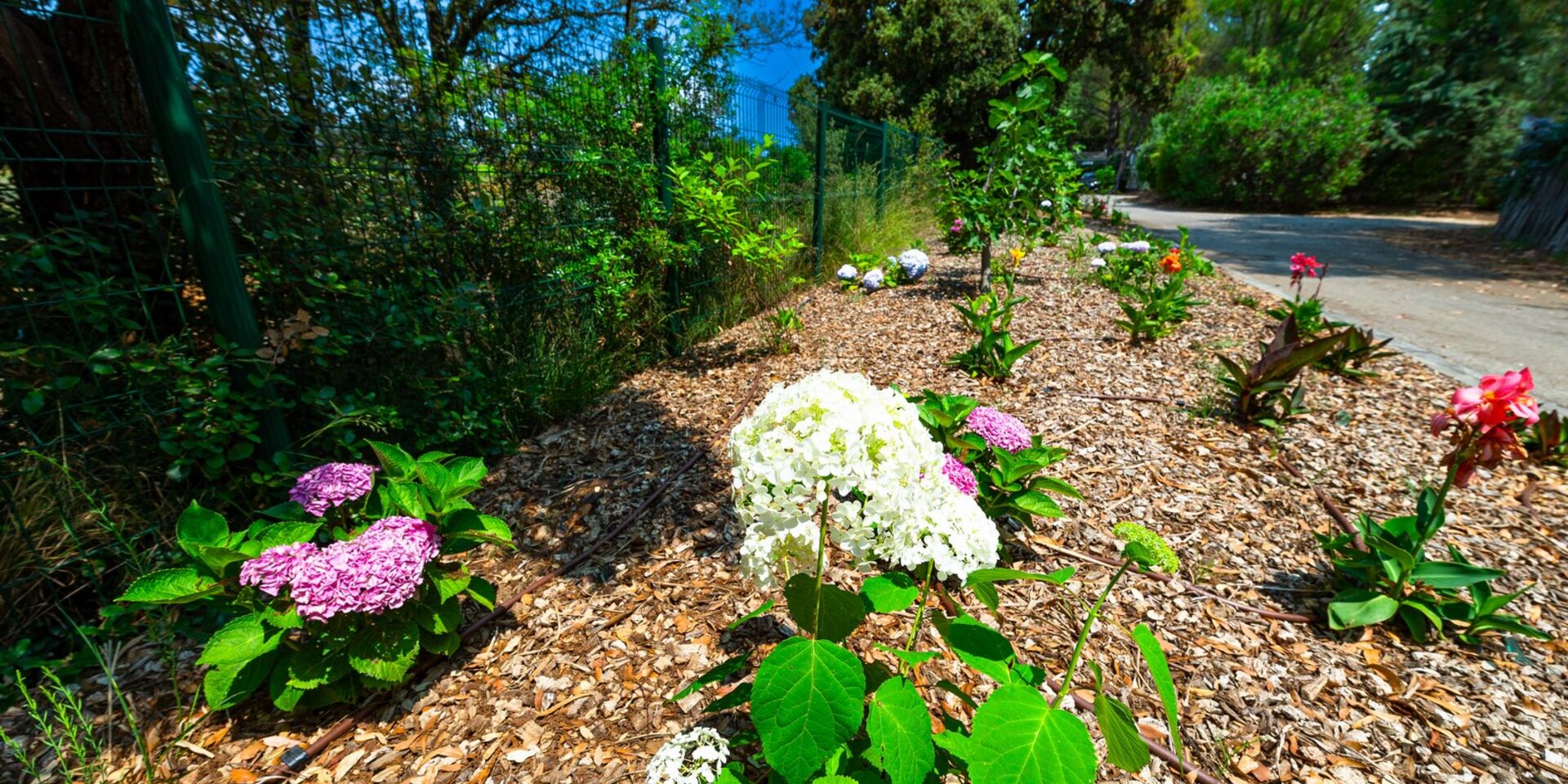 Unser familien- und umweltfreundlicher Campingplatz im Departement Var