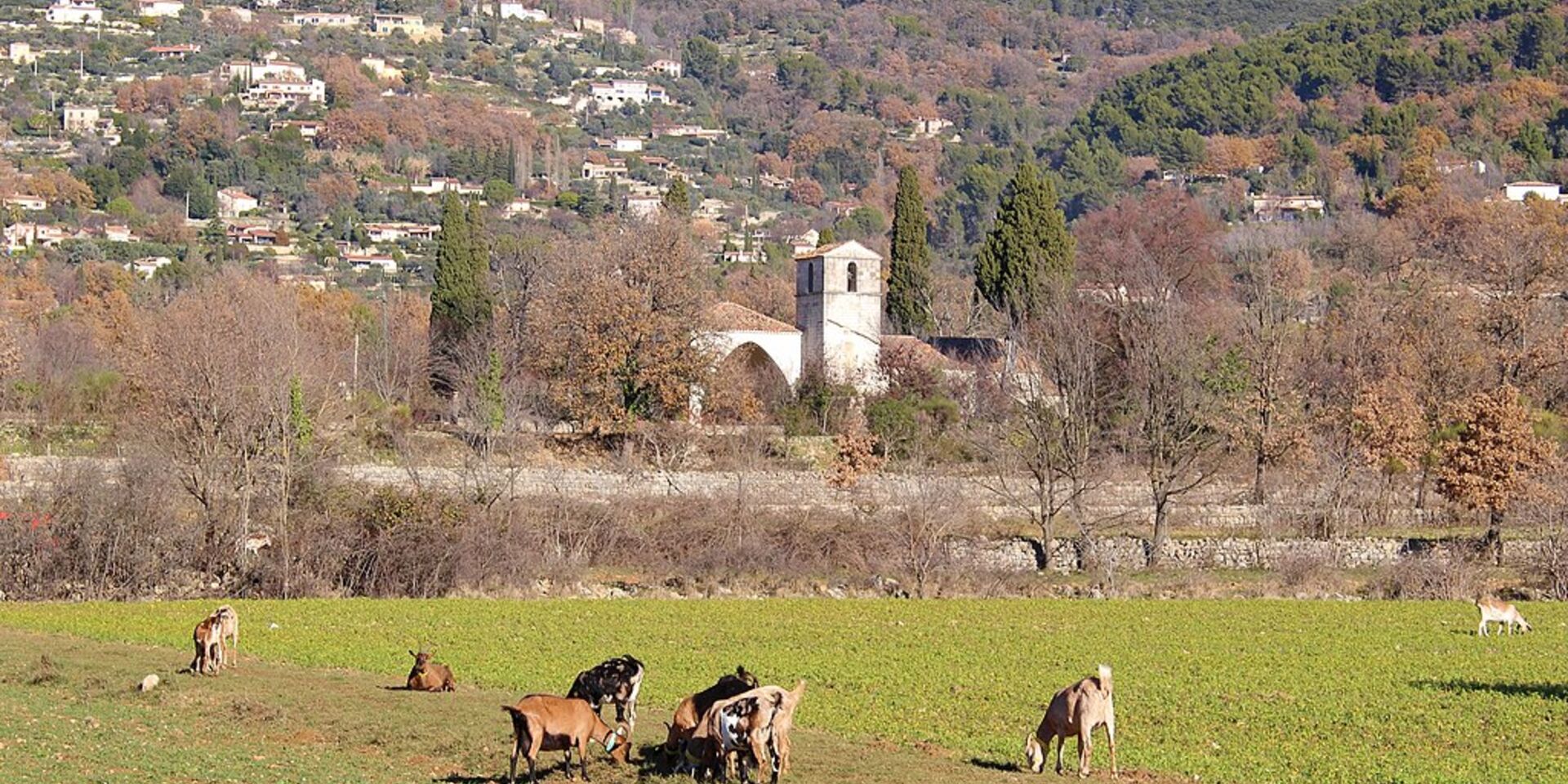 Ein tyisches Dorf im Departement Var