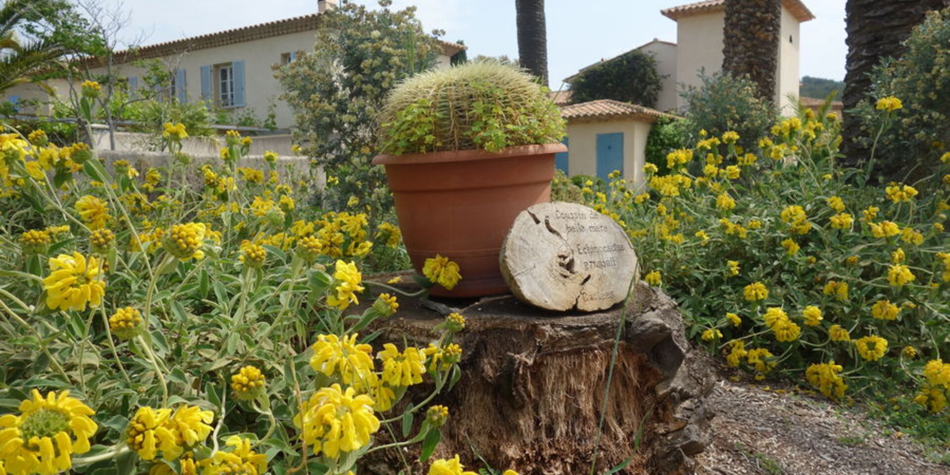 Ein Familienausflug auf Porquerolles