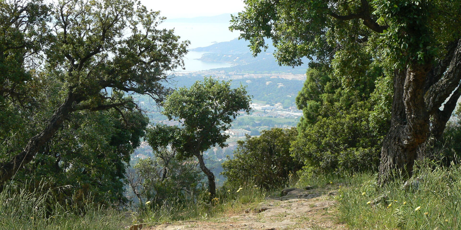 Bormes les Mimosas